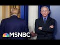 Trump Reportedly Concerned With Fauci's High Profile For Weeks | The 11th Hour | MSNBC