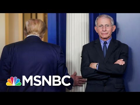 Trump Reportedly Concerned With Fauci's High Profile For Weeks | The 11th Hour | MSNBC