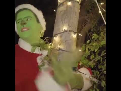 Senior grinch