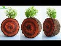 Creative Wooden Slice Cement Planter | Tree Stump Piece Planter | Cement Planter Idea//GREEN PLANTS