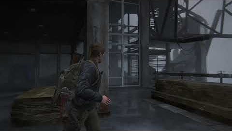 the last of us part 2 day 1 patch texture bug 2
