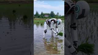 Jangan Kaget! Robot Ini Sedang Bekerja di Sawah. #faktaunik #robotika #shorts