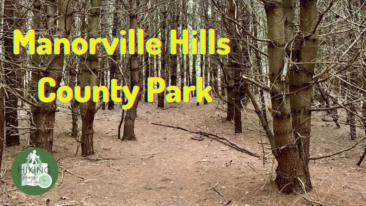 Best Parks to Hike on Long Island Manorville Hills County Park. YouTube