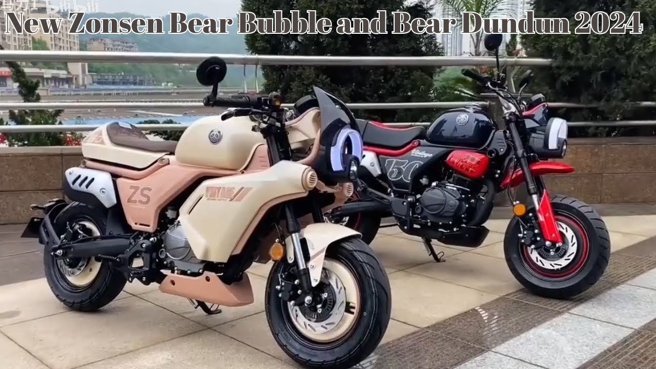 Little Bear Dundun - Tất Cả Những Điều Bạn Cần Biết về Nhân Vật Đáng Yêu Này