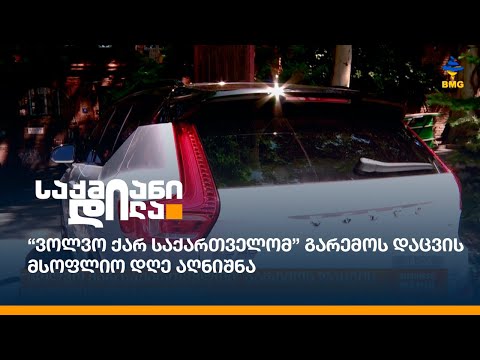 “ვოლვო ქარ საქართველომ” გარემოს დაცვის მსოფლიო დღე აღნიშნა