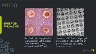 PRIMO Bioengineering: cell biology application overview in video screenshot 1