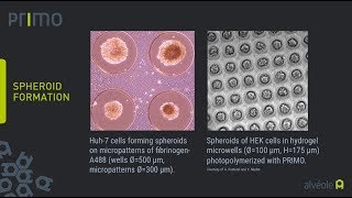 PRIMO Bioengineering: cell biology application overview in video
