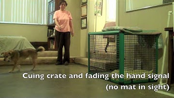 Crate vs Mat: Verbal Cue Discrimination