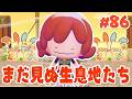 作ったことのない生息地を作っていこう~! part86【ぽこあポケモン】