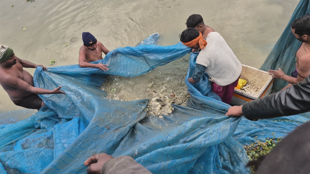 Gaon me Machli palan 