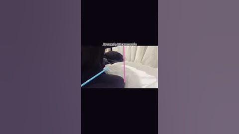 Static electricity: Plastic straws repelled and attracted #experiment #physics #etwinning