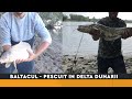 Pescuit in Delta Dunarii - bratul Sfantu Gheorghe august 2019