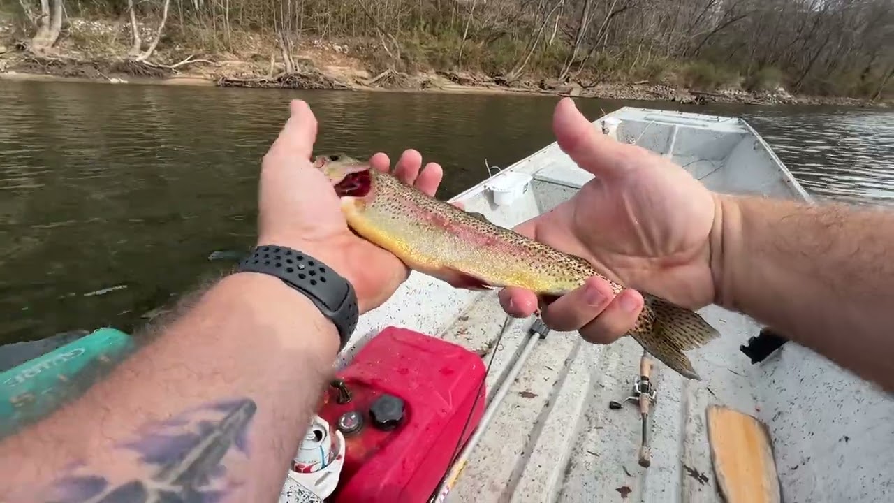 Calico Rock Trout Dock come fishing with me! 