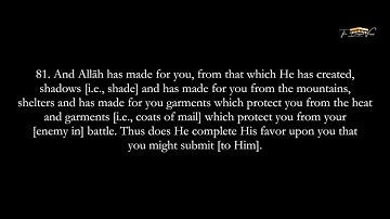 AMAZING - MUST HEAR | AN-NAHL | MUHAMMAD MUBARAK | THE BLESSED VERSES |  سورة النحل - محمد مبارك