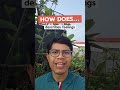 Let’s learn about WHAT and HOW in English!