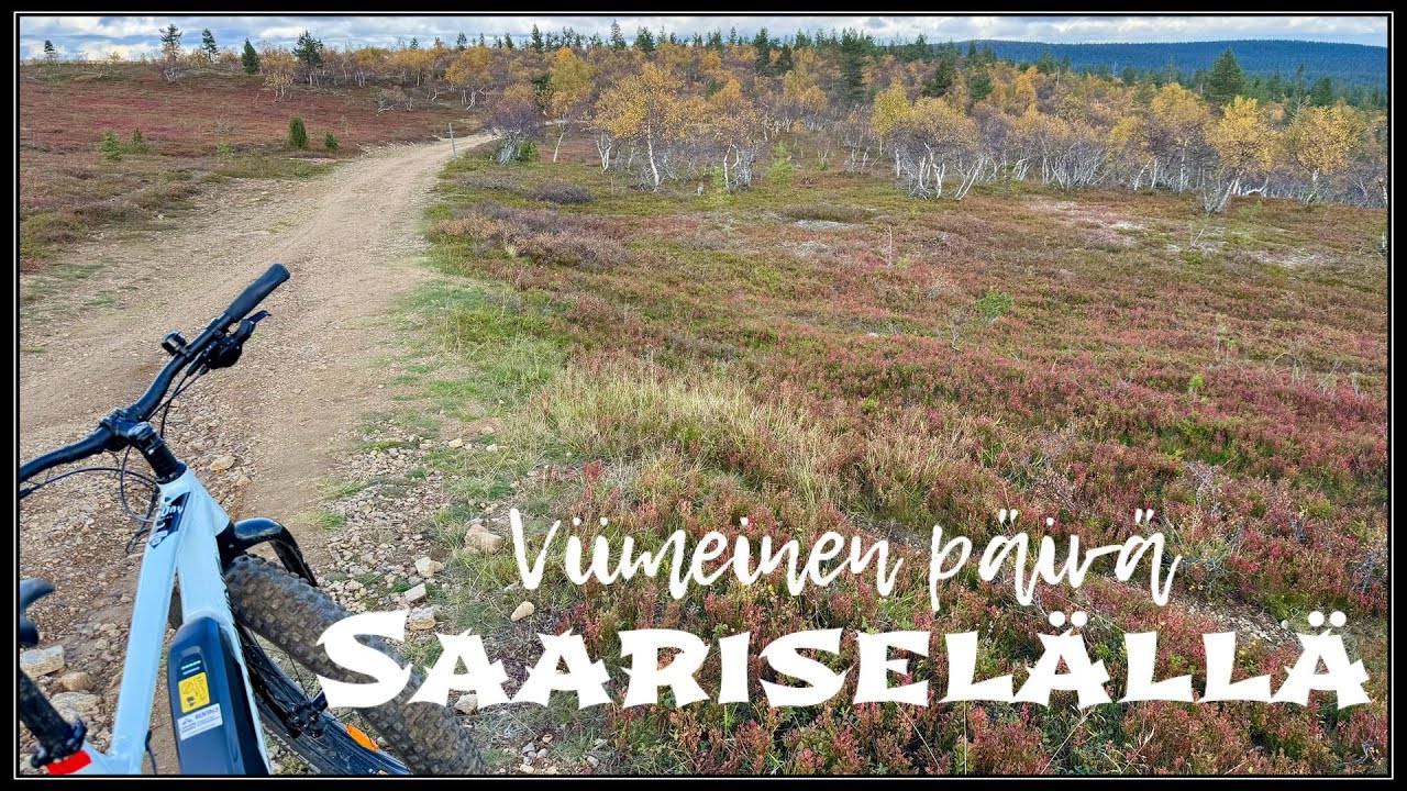Tänään sain sen, mitä tulin täältä hakemaan.😍🥰🍂