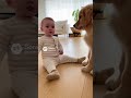 とっさのことでキョトンとする赤ちゃん| #shorts #animals #baby