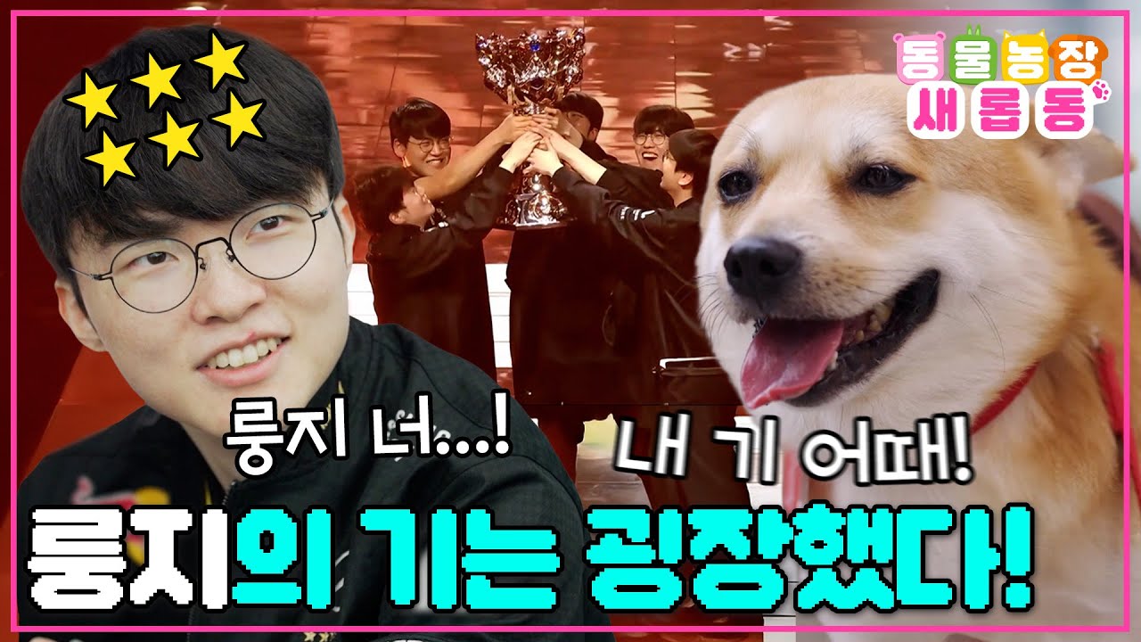 [#새롭동물농장] 가장 긴 강, 가장 높은 산 옆 가장 귀여운 똥개🥰 T1 선수들에게 기를 주러 온 룽지🐶  / EP.1247 #TV동물농장 #AnimalFarm #SBSstory