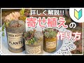 【寄せ植え解説!!】多肉植物の寄せ植えの作り方