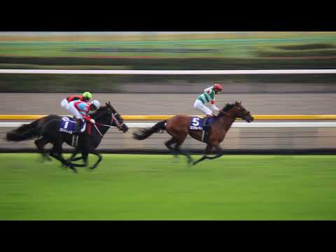2021 第164回天皇賞（秋）エフフォーリア 現地映像