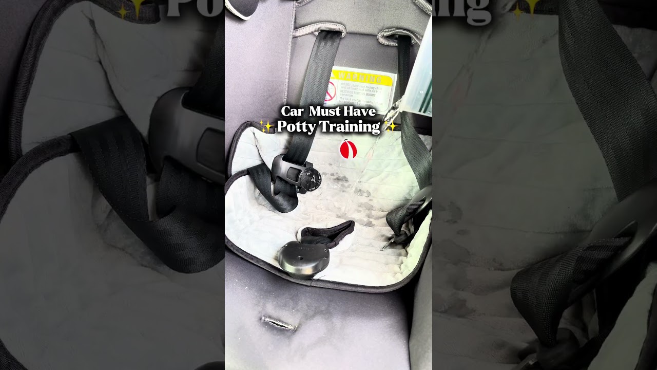 Car MUST HAVE for Potty Training 🚽 