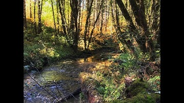 Painting the Four Layers of Water Episode 4 Part 1