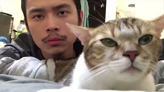 UNUSUAL MEMES COMPILATION V142