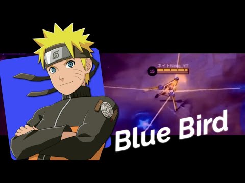 Blue Bird 🐦