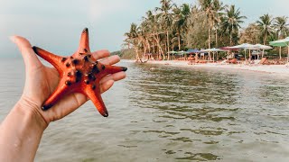 Пляж с морскими звёздами на Фукуок. Вьетнам вам не Тайланд.