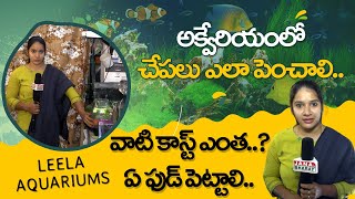 Aquarium Shop Tour | Best Aquarium Market In Hyderabad | Aquarium Fish Farming | JBTV Telugu