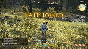 FFXIV Malboro Teleport Logging Bot Cheater 2