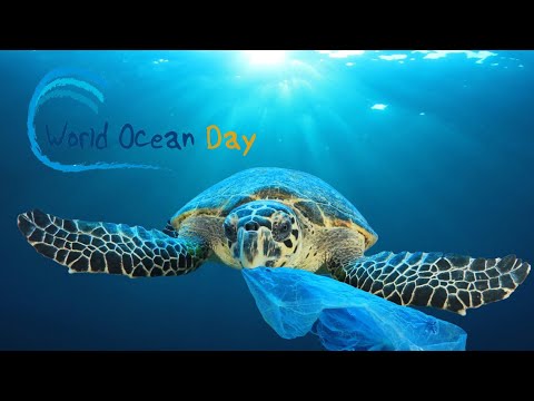 Video: Come Si Celebra La Giornata Mondiale Degli Oceani