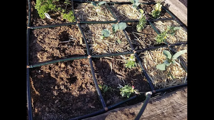 DIY Garden Grid Irrigation