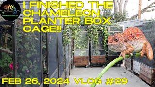 I finished my Chameleon Planter Box Cage!