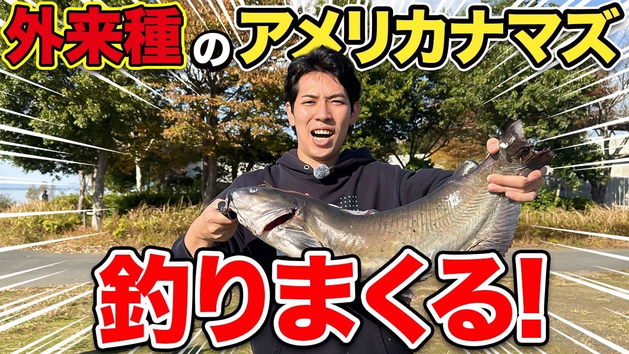 大型魚 Catch of over 100kg!? Fishing for the invasive American catfish