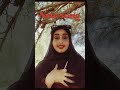 Wait for it: lale Ahmed Zeidan - Daret biya denya Slow Remix