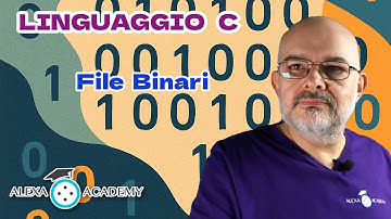 I file binari - Linguaggio C 26