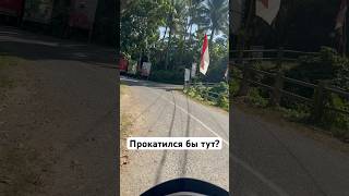 Эта природа просто сказка! #природа #джунгли #бали #остров #прогулка #покатушки #индонезия #красота