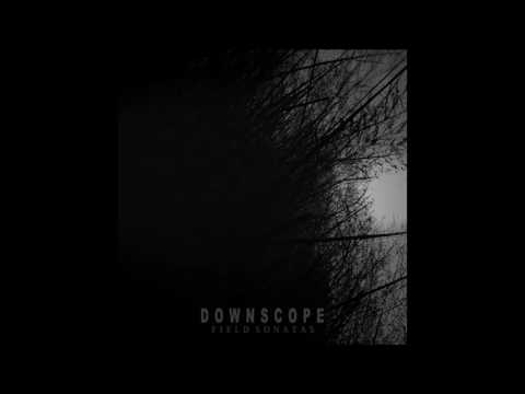 Downscope — DOWNSCOPE - Waldstein