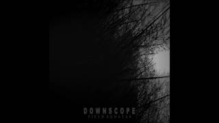 DOWNSCOPE - Waldstein
