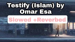 Testify (Islam) /Slowed  Reverbed/Relaxing nasheed/Exclusive Nasheed By: Omar Esa