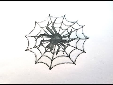 Wideo: Jak Narysować Tarantulę