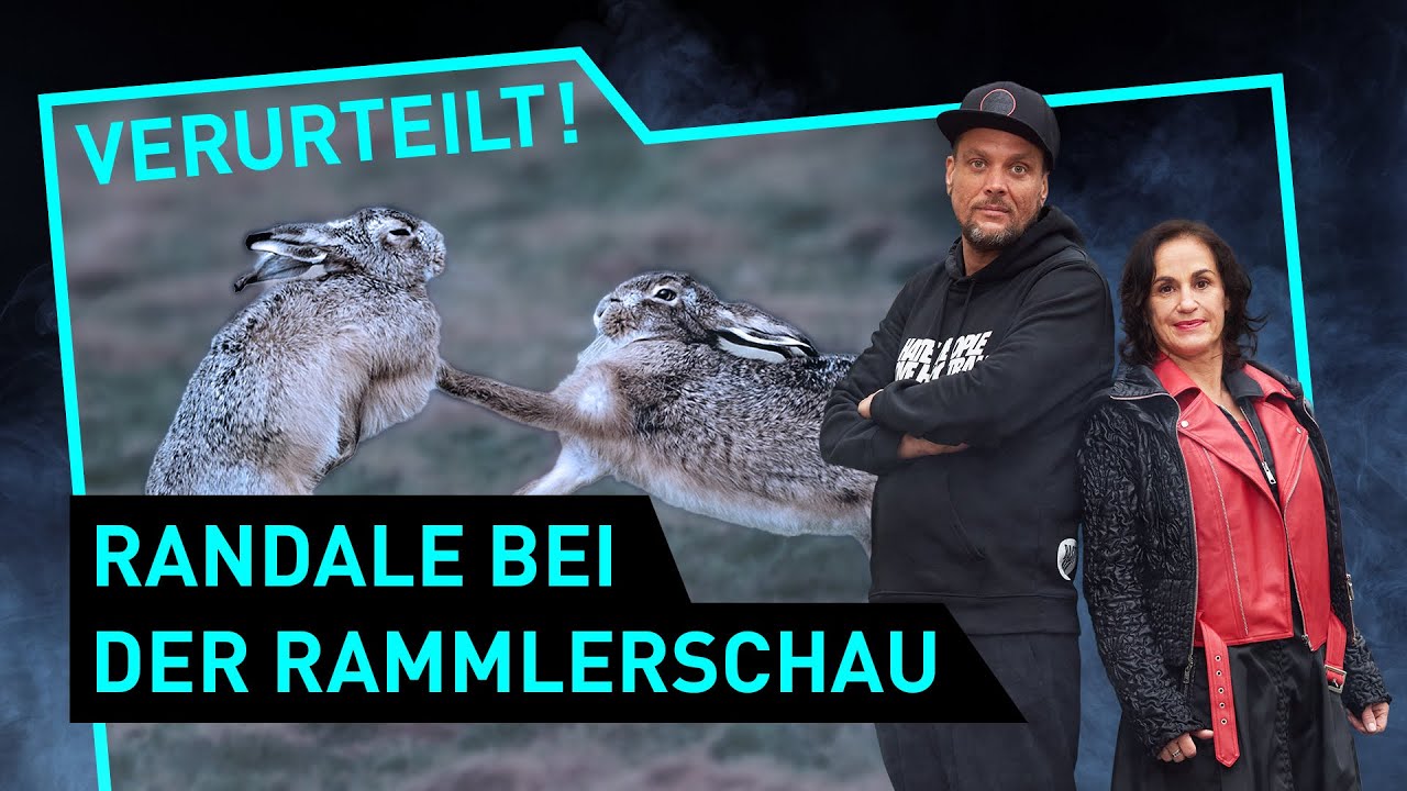 Randale auf der Rammlerschau | Verurteilt! - Der Gerichtspodcast