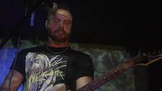 Sagitta - Forest Solitude