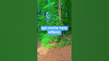 Islam Islamic Attitude Inspiration Motivational Motivation Life Ukti Bani Powerfulmotivation 