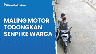 Terekam CCTV Maling Motor Todongkan Senpi ke Warga