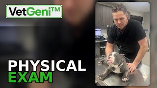 How to Document a Veterinary Physical Exam in VetGeni screenshot 3