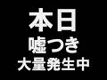 ⚠️注意⚠️本日エイプリルフールにつきSQちゃんからアドバイス💥