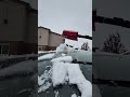 Snow time