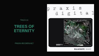 Bulkrate Trees Of Eternity Praxisdigital00011, Track 03